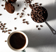What You Need to Know About Coffee